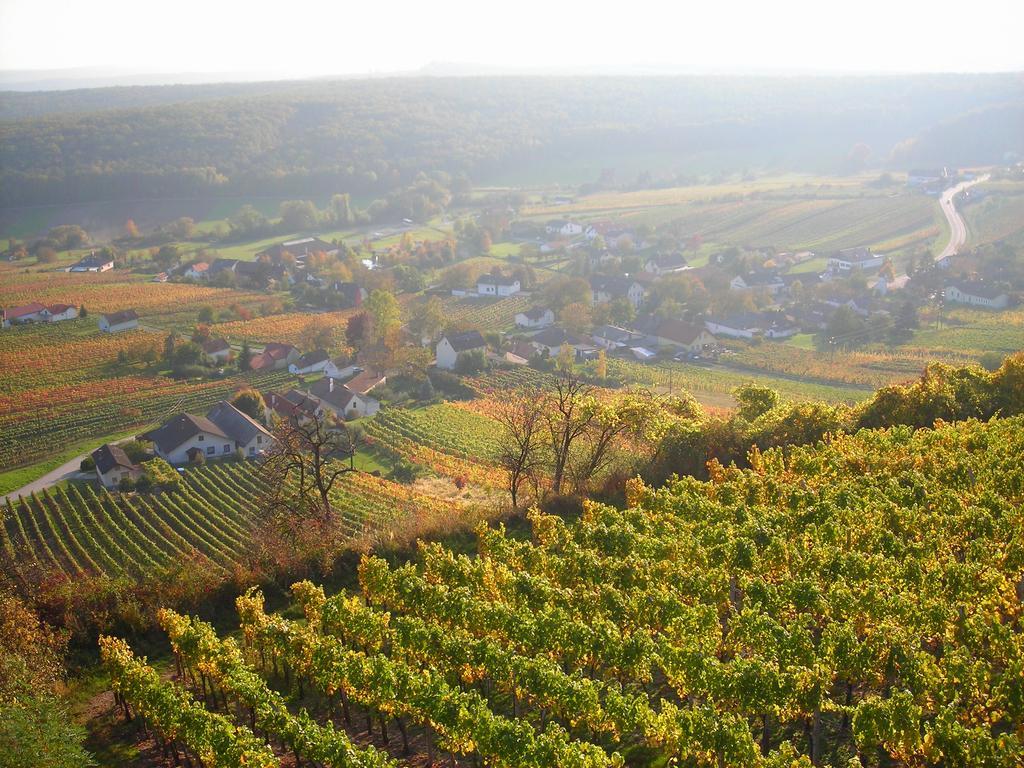 Kellerstöckl Kamper Villa Eisenberg an der Pinka Exteriör bild