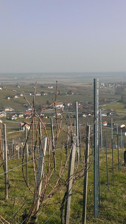 Kellerstöckl Kamper Villa Eisenberg an der Pinka Exteriör bild