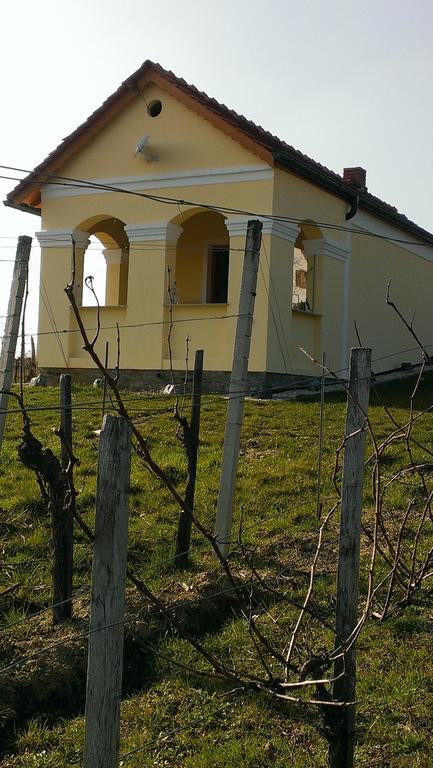 Kellerstöckl Kamper Villa Eisenberg an der Pinka Exteriör bild