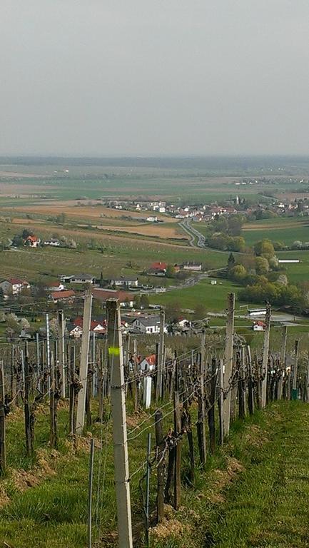 Kellerstöckl Kamper Villa Eisenberg an der Pinka Exteriör bild