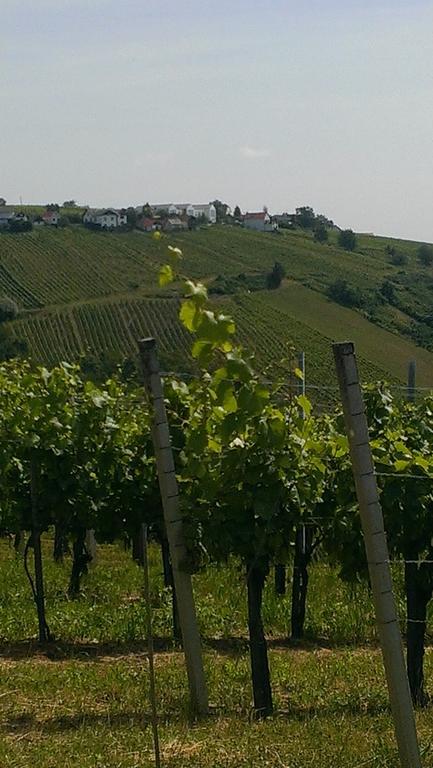 Kellerstöckl Kamper Villa Eisenberg an der Pinka Exteriör bild