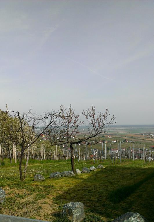 Kellerstöckl Kamper Villa Eisenberg an der Pinka Exteriör bild